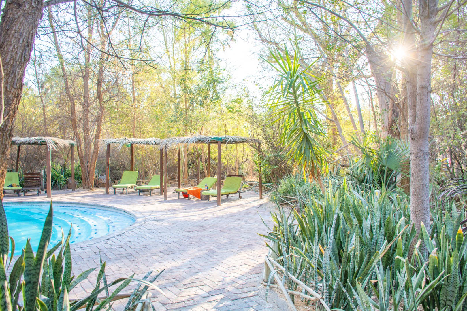 21-daagse Selfdrive Namibie en Botswana, Desert meets Delta