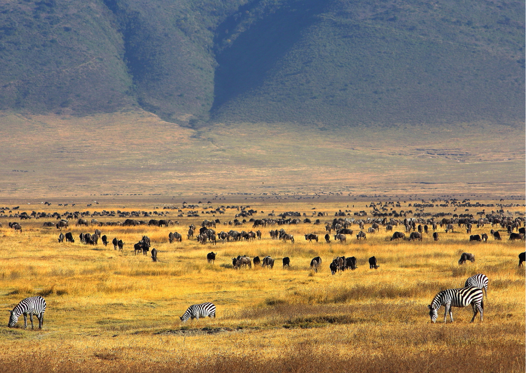 Ngorongoro krater_Tanzania