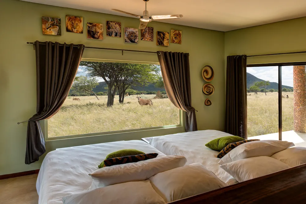 19-daagse Selfdrive Namibie, Van Canyon tot Kalahari