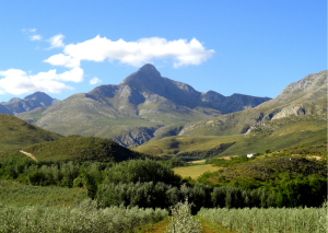 Oudtshoorn_Landschap