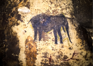 Oudtshoorn_opgravingen historie