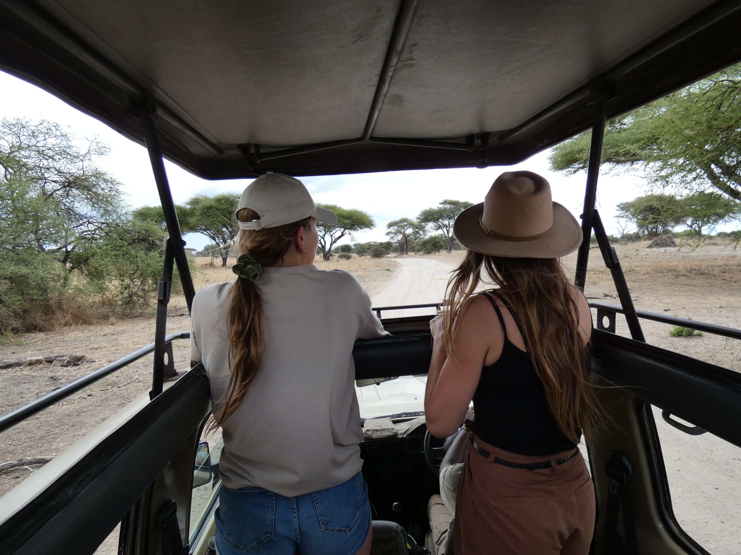 “4x4-safarivoertuig met open dak tijdens game drive in nationaal park in Afrika.”