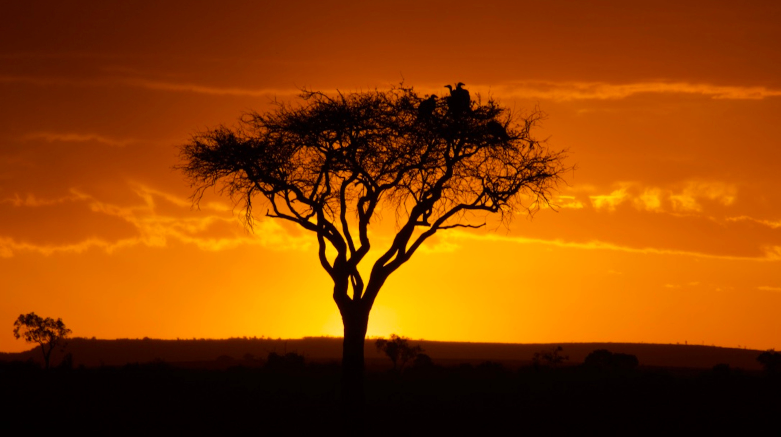 Prachtige zonsondergang in de Masai Mara met gouden licht over het landschap