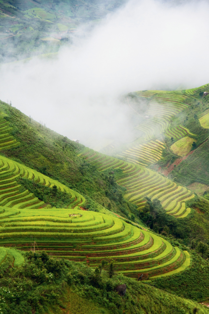Azië, een wereld van contrasten, cultuur en beleving Azië, een wereld van contrasten, cultuur en beleving