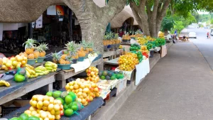 St. Lucia_Market in town africa.jpg