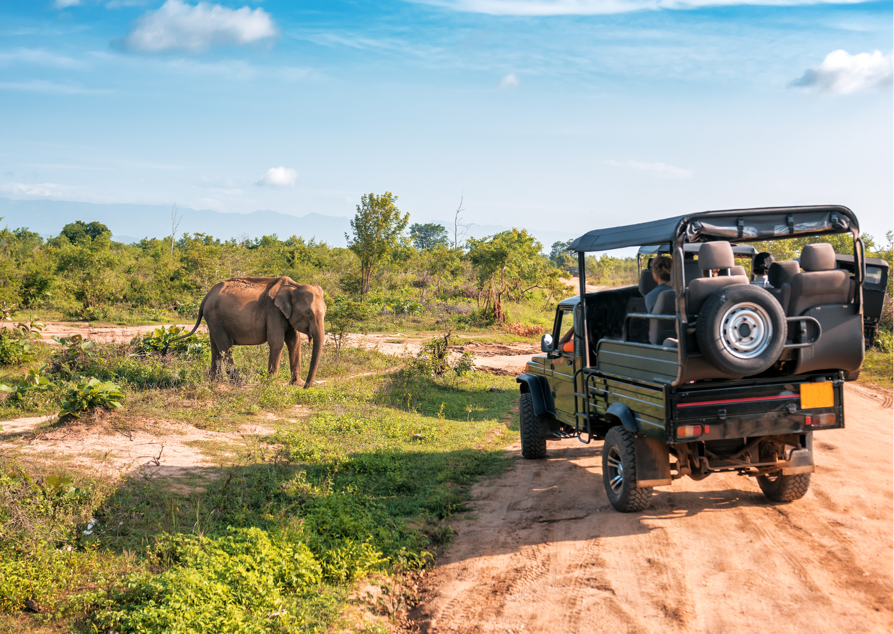 Tanzania_Gamedrive met olifant