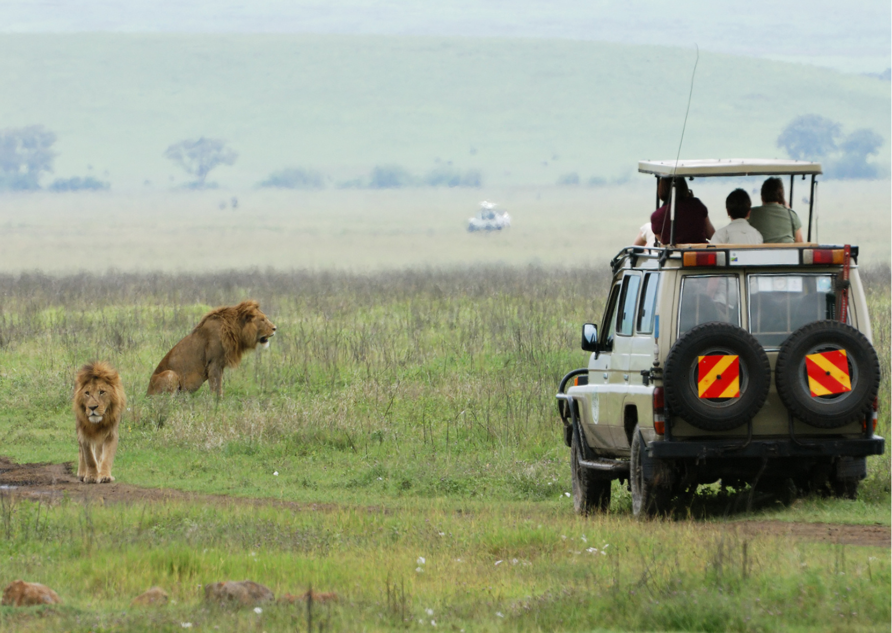 Tanzania_Leeuwen tijdens gamedrive