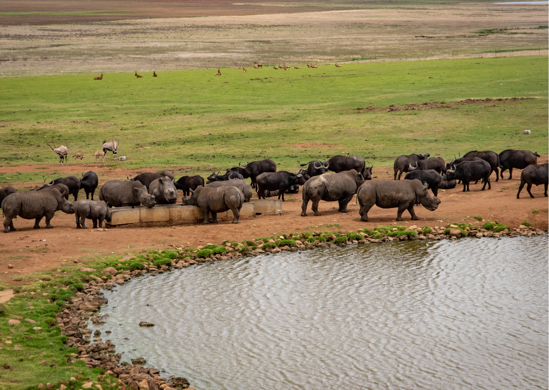 Dinokeng Game Reserve