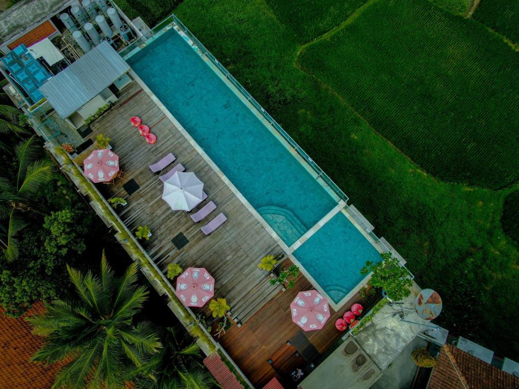 “The Evitel Ubud zwembad op dakterras met uitzicht op groene omgeving.”