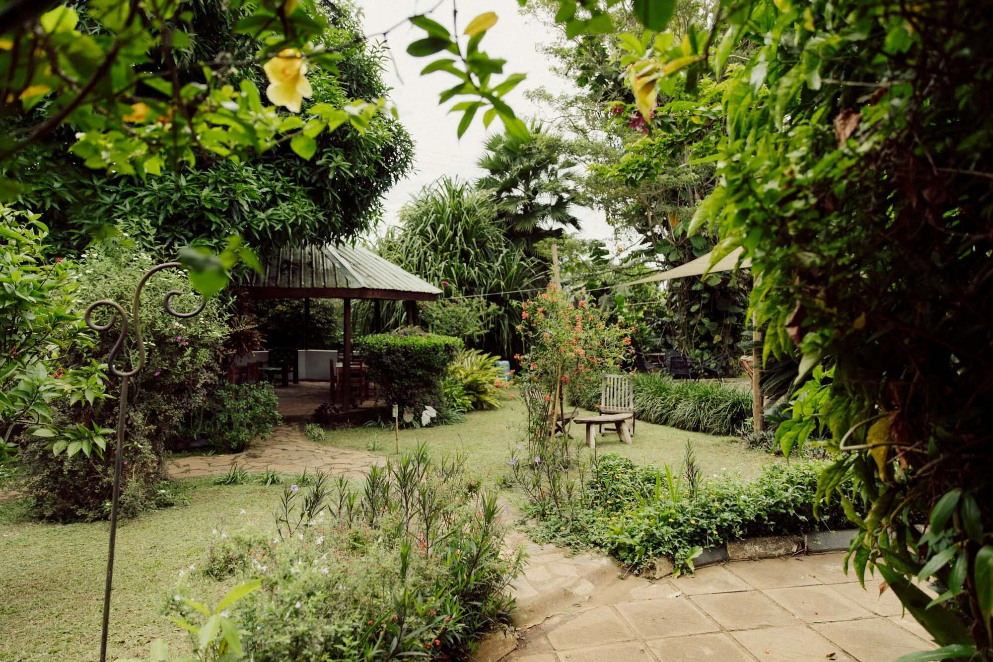 Tropische tuin van Muti Garden Hotel & Café in Entebbe