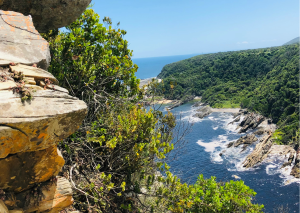 23-daagse Selfdrive Zuid-Afrika, Highlights of Zuid-Afrika Tsitsikamma National Park Zuid Afrika