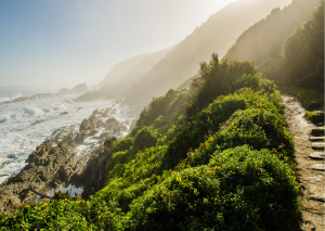 23-daagse Selfdrive Zuid-Afrika, Highlights of Zuid-Afrika Tsitsikamma_Bergwand met water