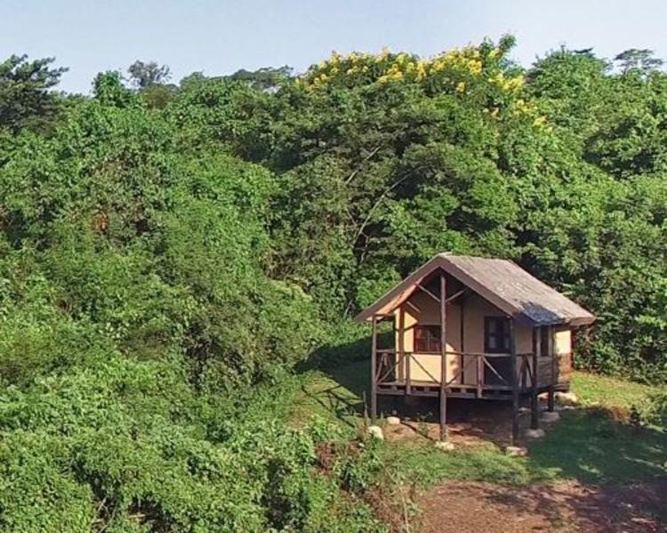 Turaco Treetops Lodge gelegen tussen de boomtoppen van Kibale Forest National Park.