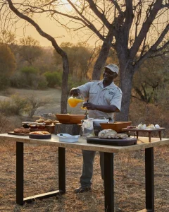 Luxe bush snack tijdens safari in een Private Game Reserve in Zuid-Afrika
