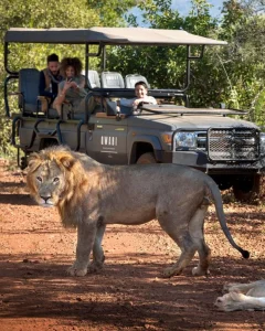 16-daagse Selfdrive Adembenemend Zuid-Afrika Gamedrive tijdens een safari in Hluhluwe-iMfolozi Park in Zuid-Afrika