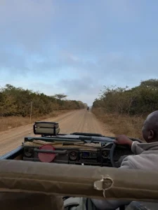 16-daagse Selfdrive Adembenemend Zuid-Afrika Gamedrive tijdens een safari in een Private Game Reserve in Zuid-Afrika