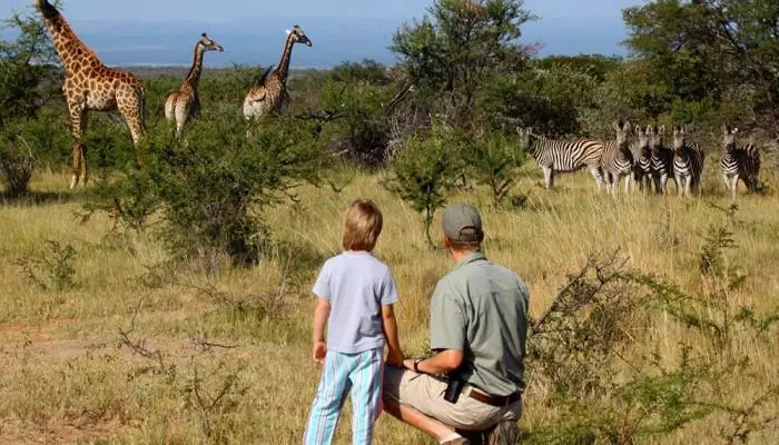 Wandel door Entabeni park - regio Waterberg - Zuid Afrika
