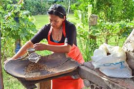Koffieplantage Mexico