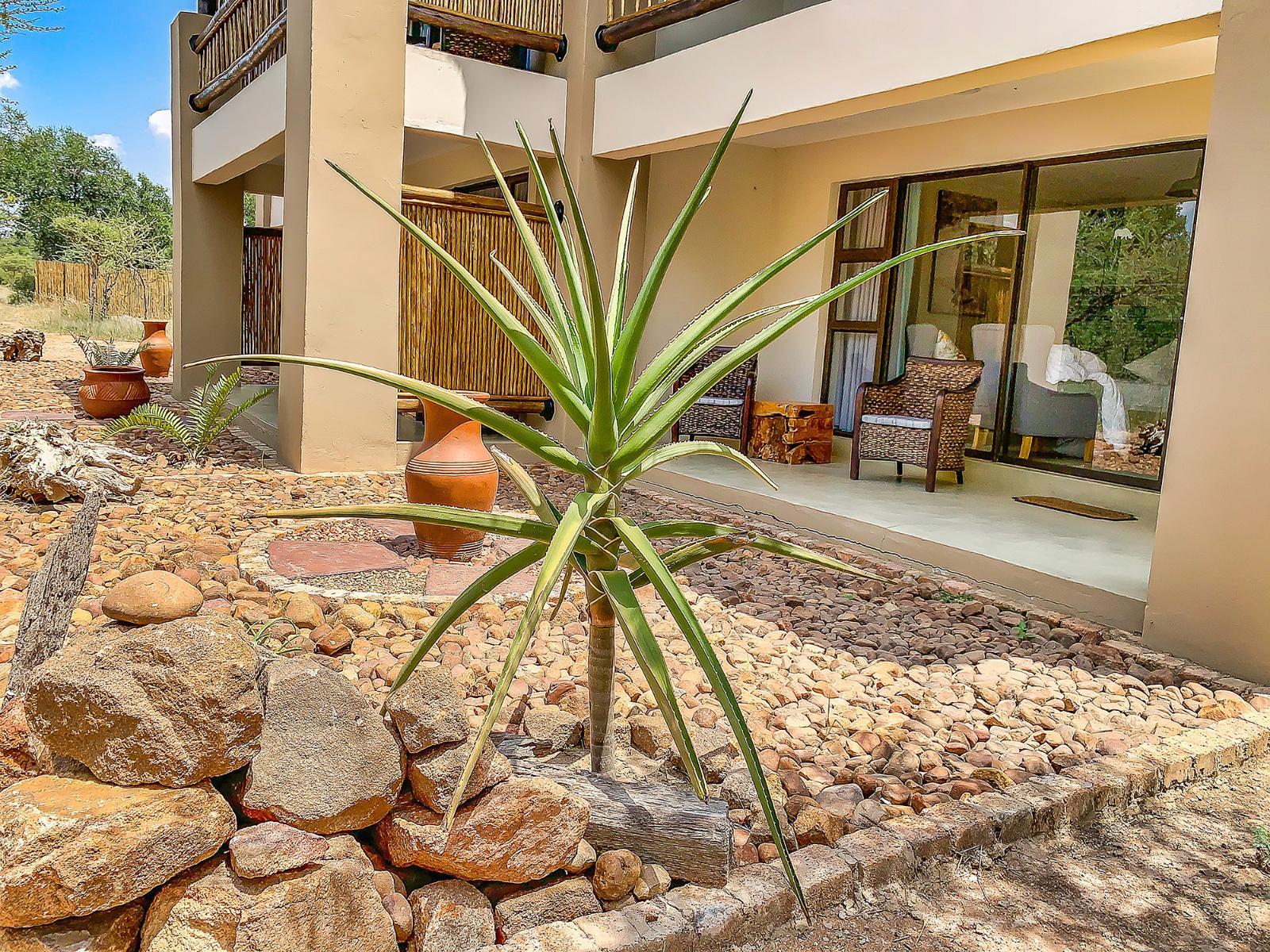 tshikwalo game lodge dinokeng