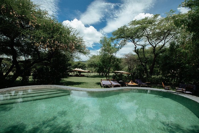 10-daagse Safari Tanzania