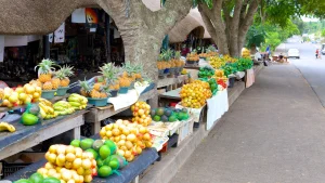 16-daagse Selfdrive Adembenemend Zuid-Afrika Lokale markt met vers fruit in St. Lucia in Zuid-Afrika