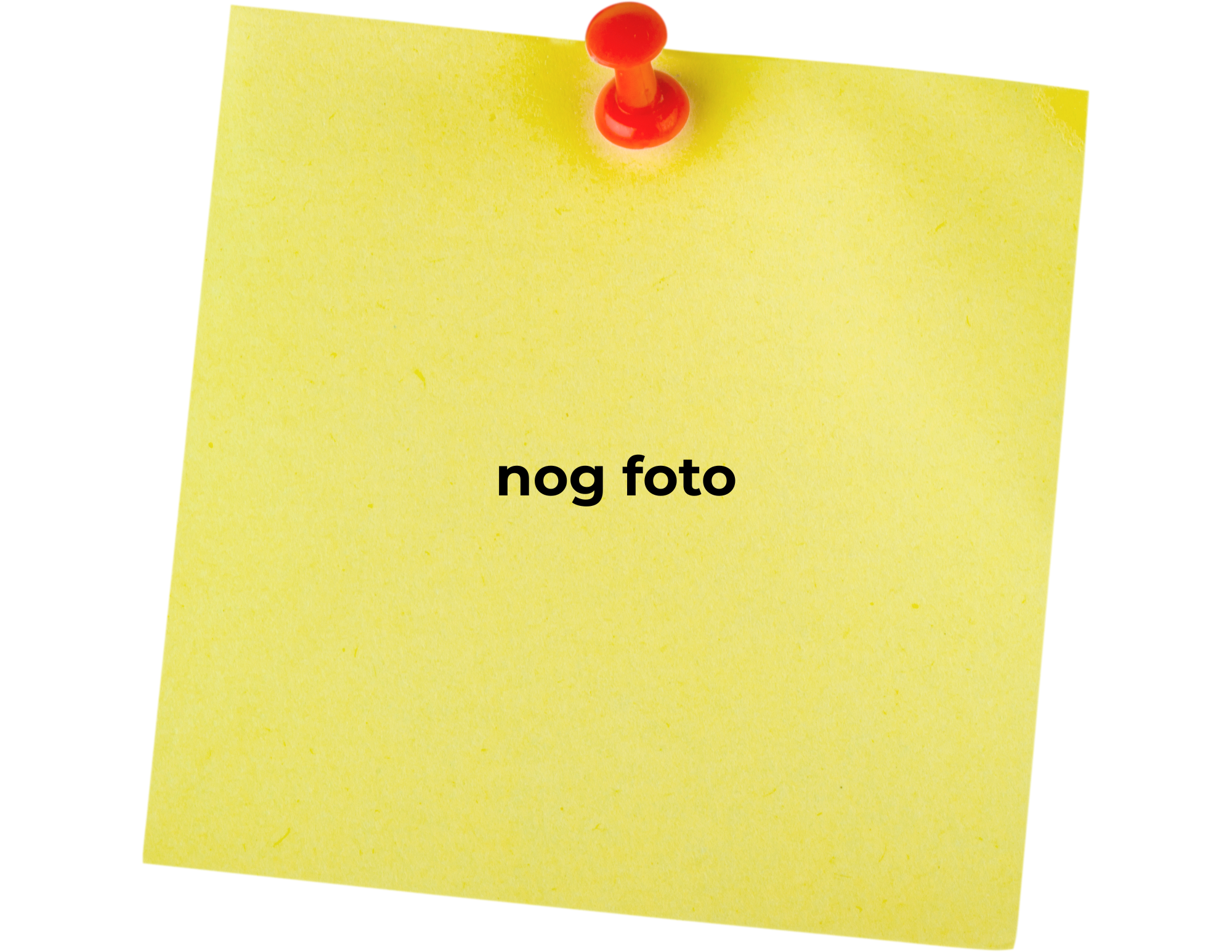 quivertree-forest-camping