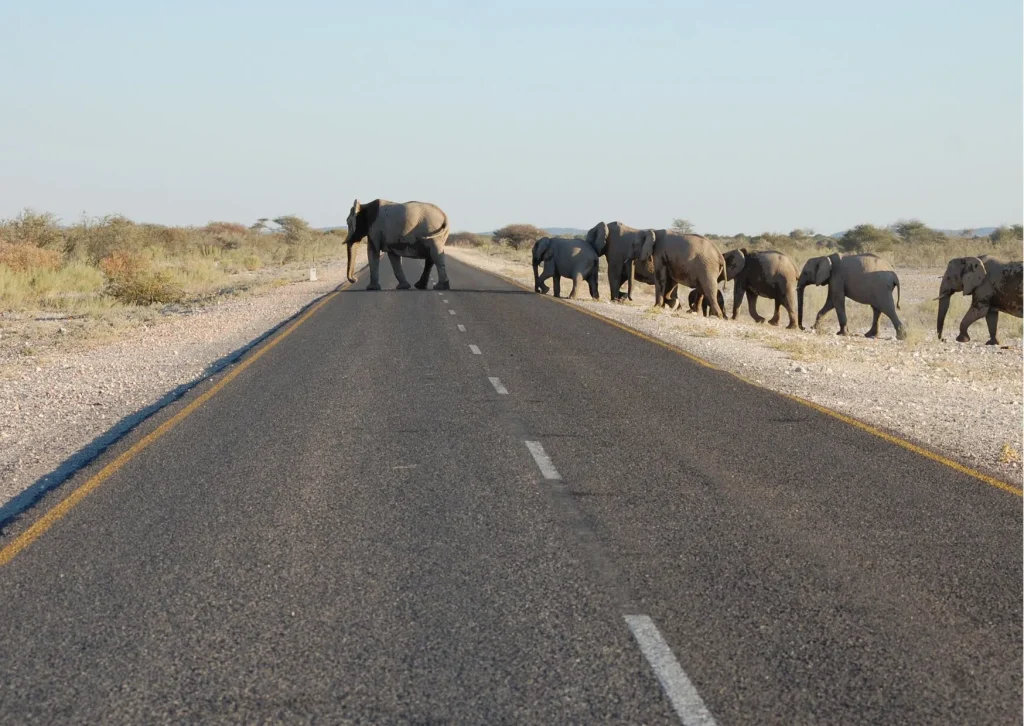 Reizen in september: de mooiste bestemmingen voor een rondreis Selfdrive door het uitgestrekte landschap van Namibië in september