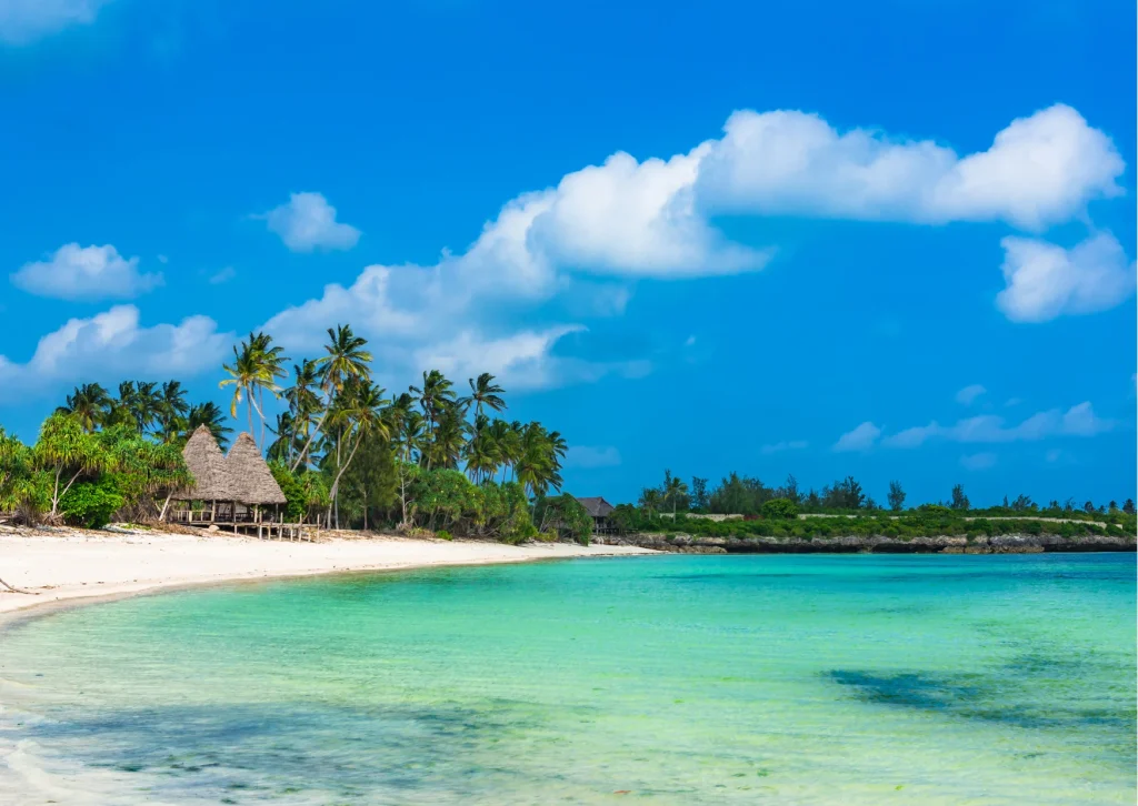 Privé safari in Tanzania: met je eigen safari-voertuig en gids op avontuur Wit zandstrand op Zanzibar tijdens een rondreis door Tanzania en Zanzibar