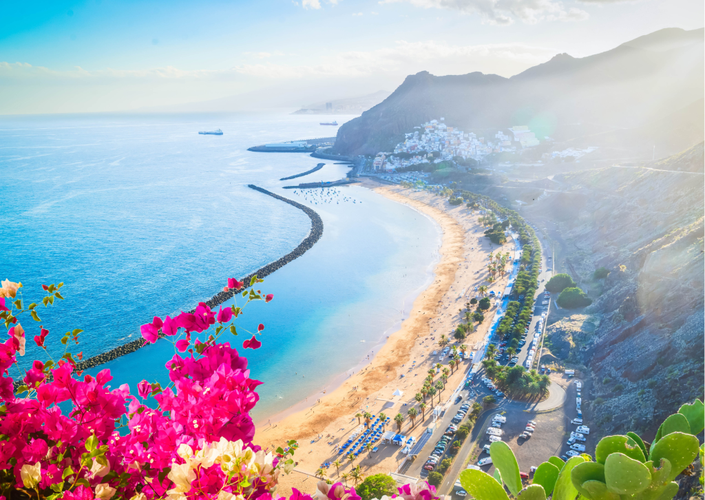 Strand op Tenerife met goudkleurig zand, palmbomen en uitzicht op de Atlantische Oceaan.