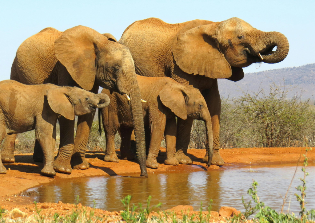 Beste reistijd voor Namibië: wanneer beleef je de mooiste reis?